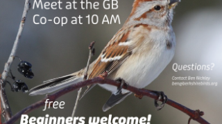 Guided Bird Walks on the Riverfront Trail hosted by Ben Nickley, Berkshire Bird Observatory 