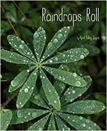 Raindrops Roll and other stories will be featured as part of River Walk Story Trails 