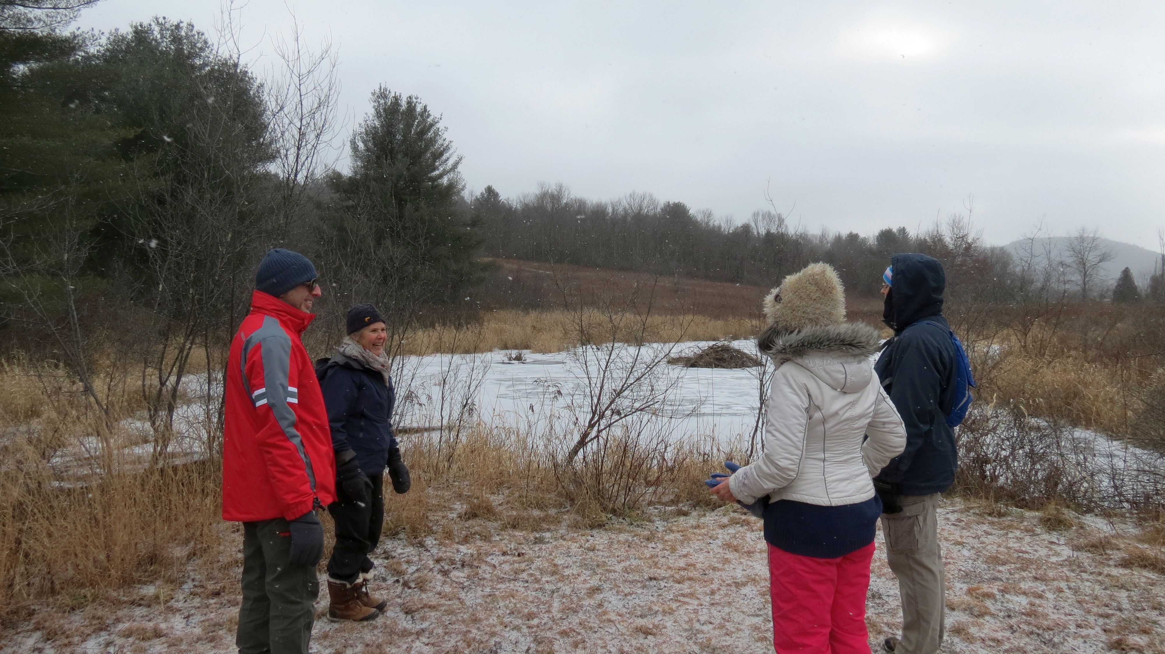 Family friendly winter hike, snowshowing if conditions allow in Great Barrington 