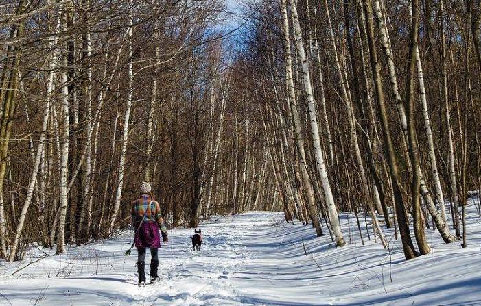 snowshoeing