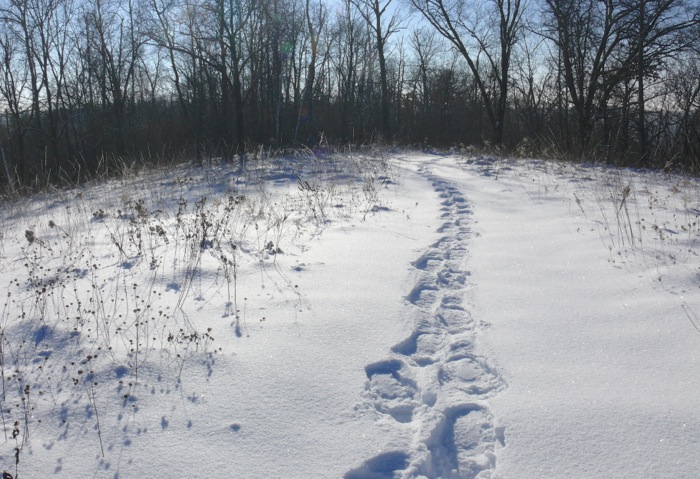 A  winter hike for all ages is being offered in Great Barrington.