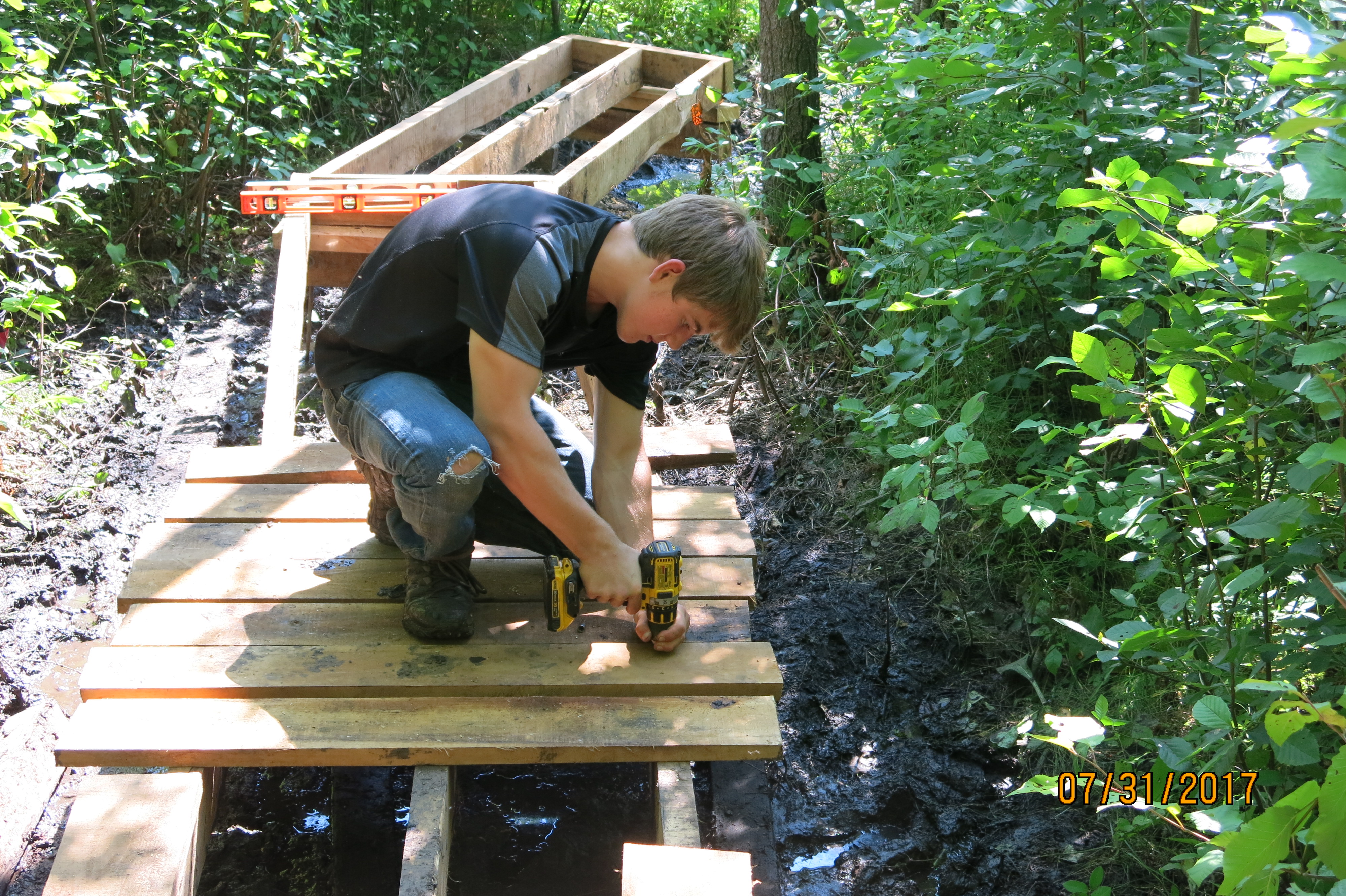 Pfieffer trails are ready to visit, with all bog bridging and boardwalks returned to steller condition 
