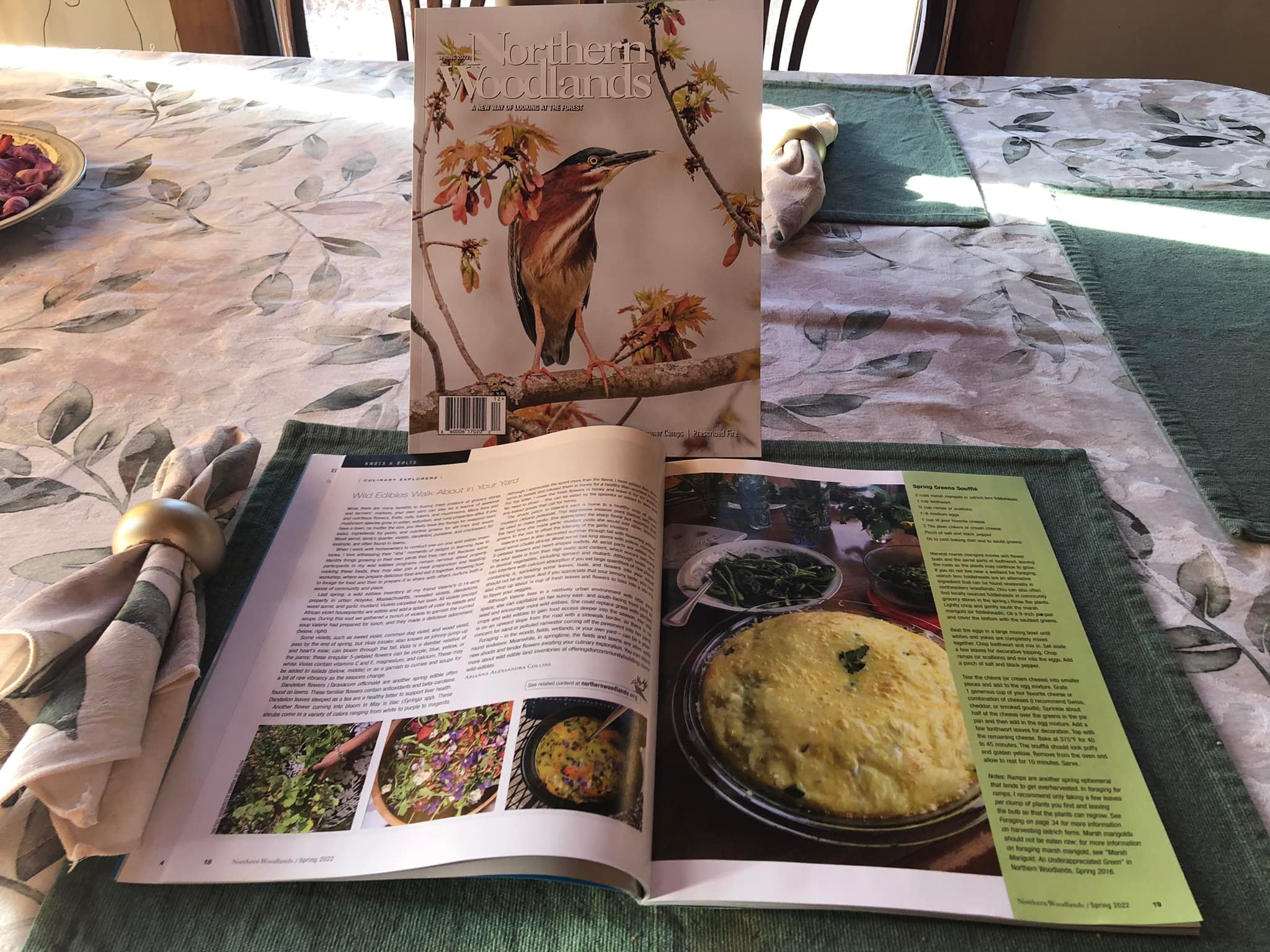 Arianna's wild edibles article in Northern Woodlands