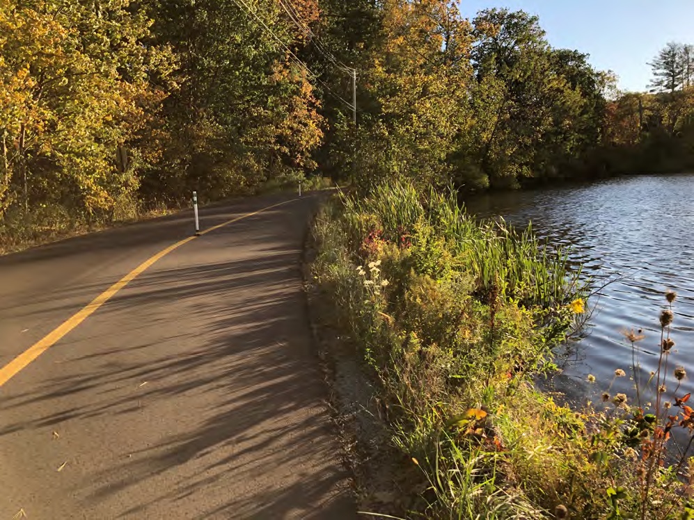 Lake Mansfield Great Barrington shoreline