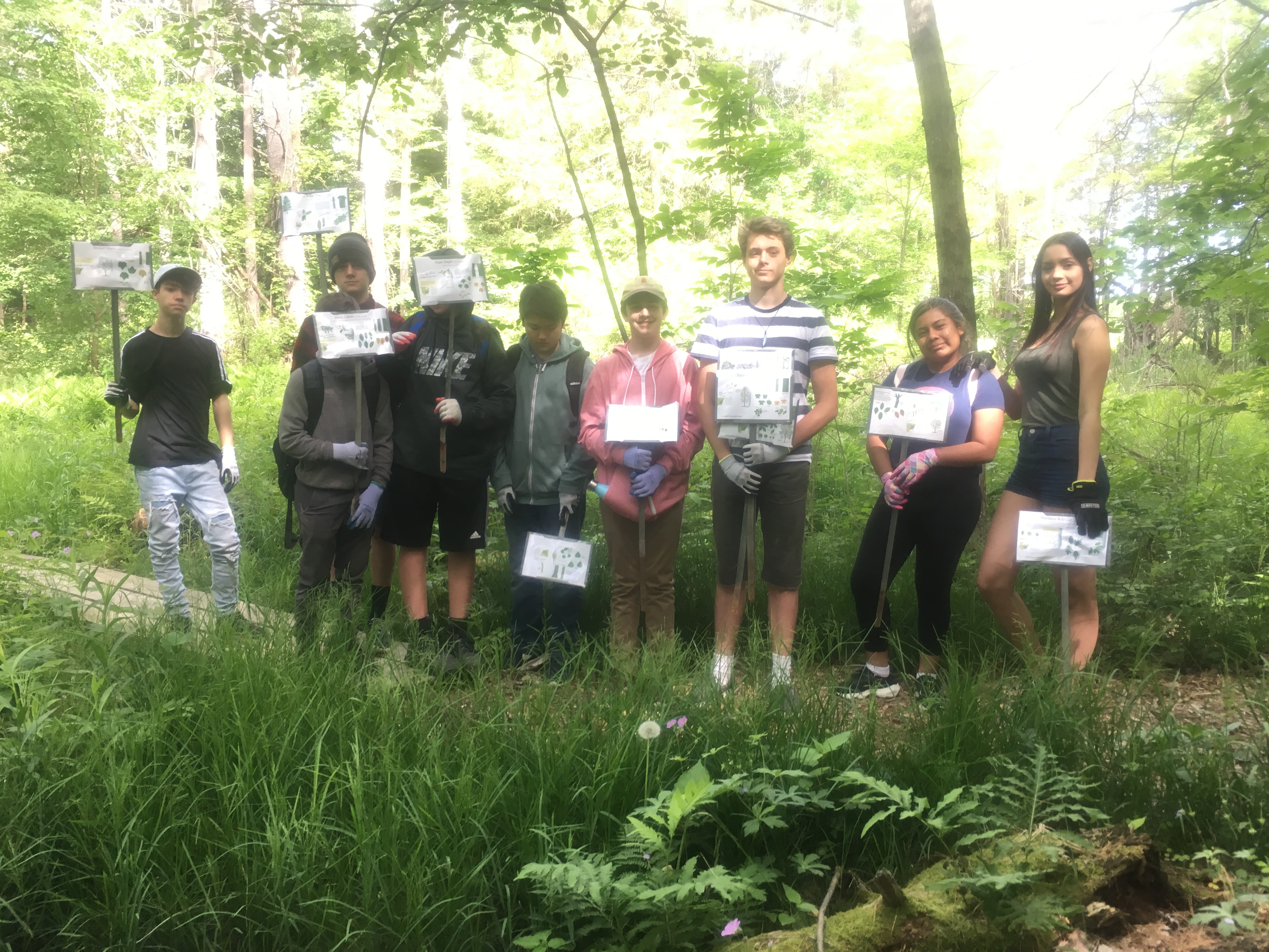At the Pfeiffer Arboretum, students installed signs for a self-guided tree walk.