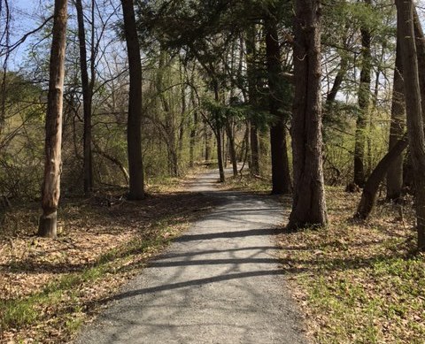 riverfront trail tree walk Great Barrington