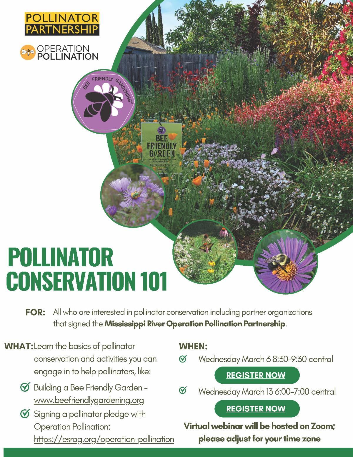 Pollinator Conservation webinars