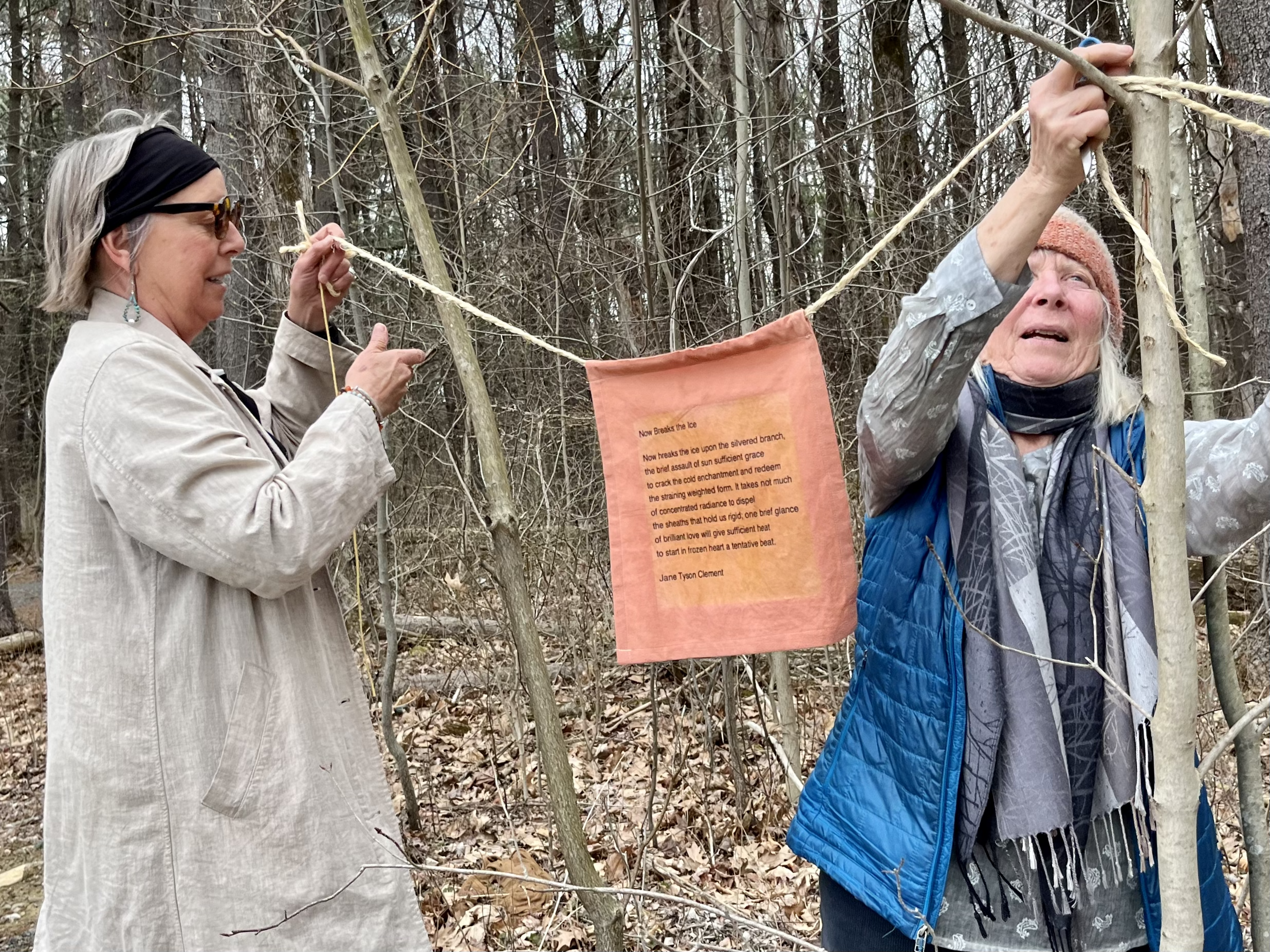 New spring poems within the Lake Mansfield Forest invite visitors to pause and reflect