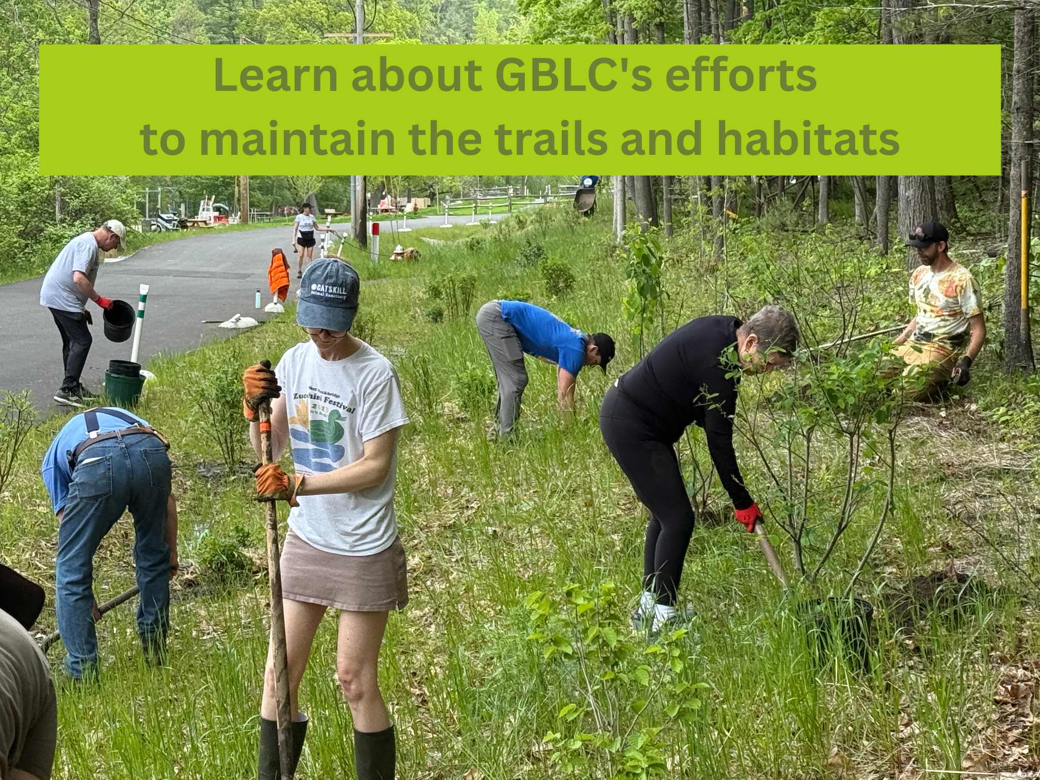 Great Barrington Land Conservancy invites the community to its 2025 annual meeting on June 24th at The Attic located above the Berkshire Food Co-op