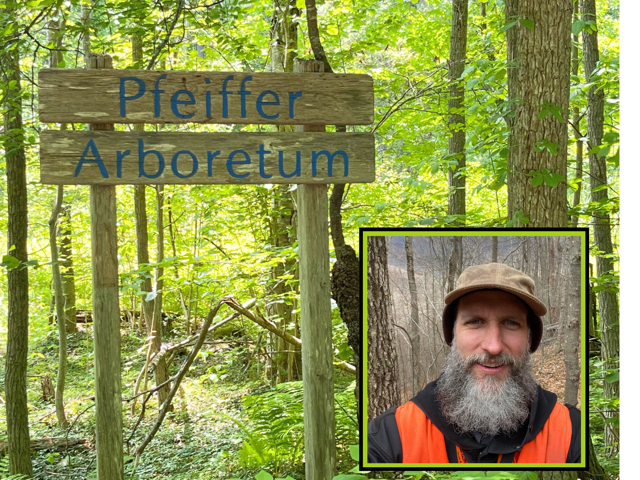 Great Barrington Land Conservancy guided walk at Pfeiffer Arboretum with Adam Brown