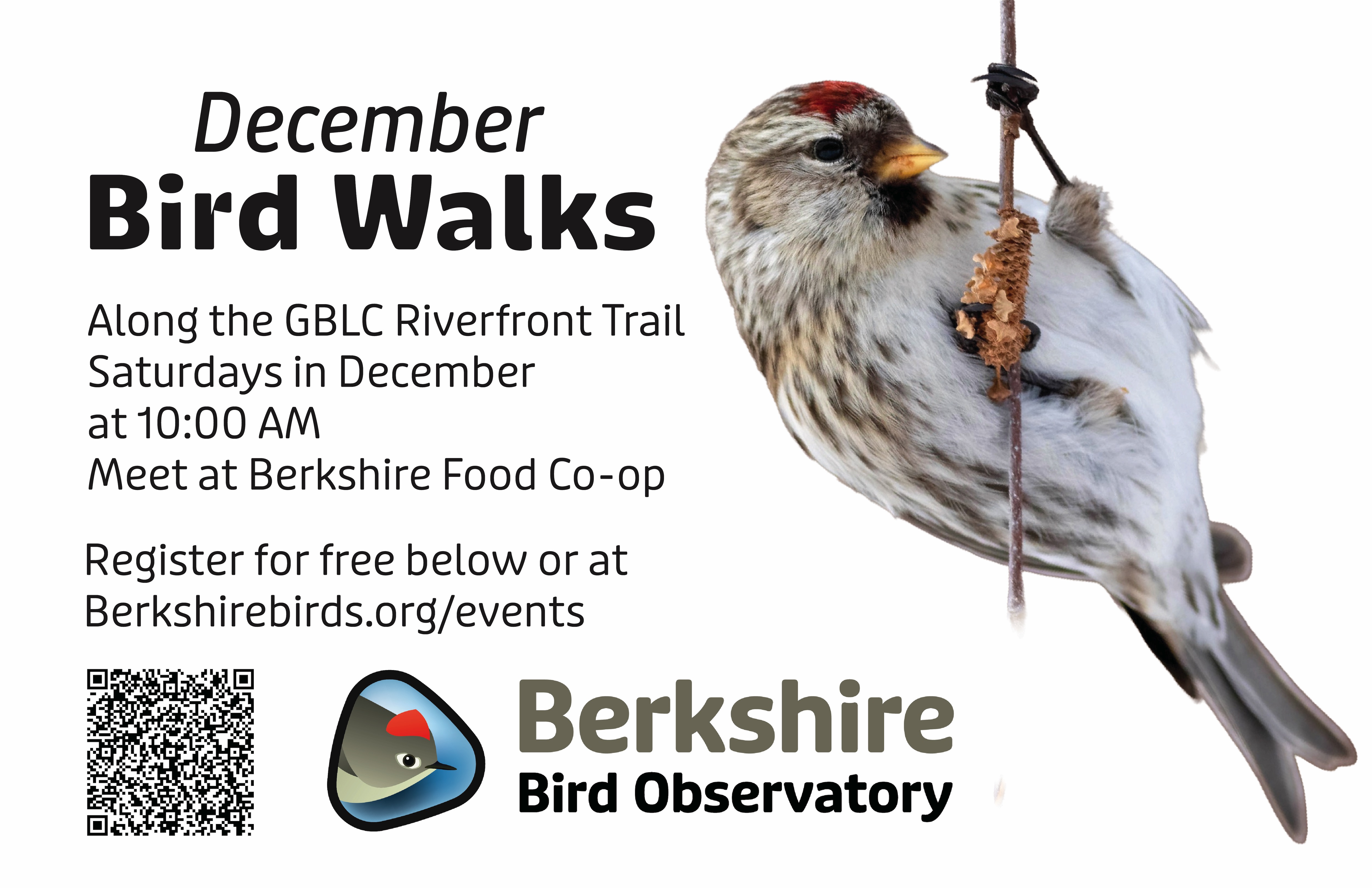 December Bird Walks Flyer BBO GBLC