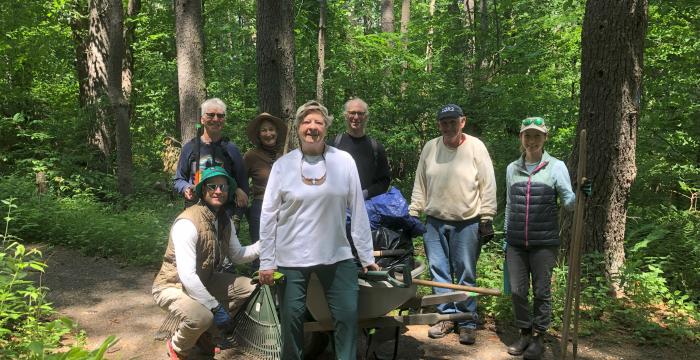 Lake Mansfield volunteers care for the forest.