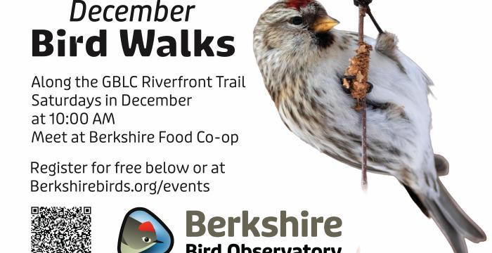 December Bird Walks Flyer BBO GBLC