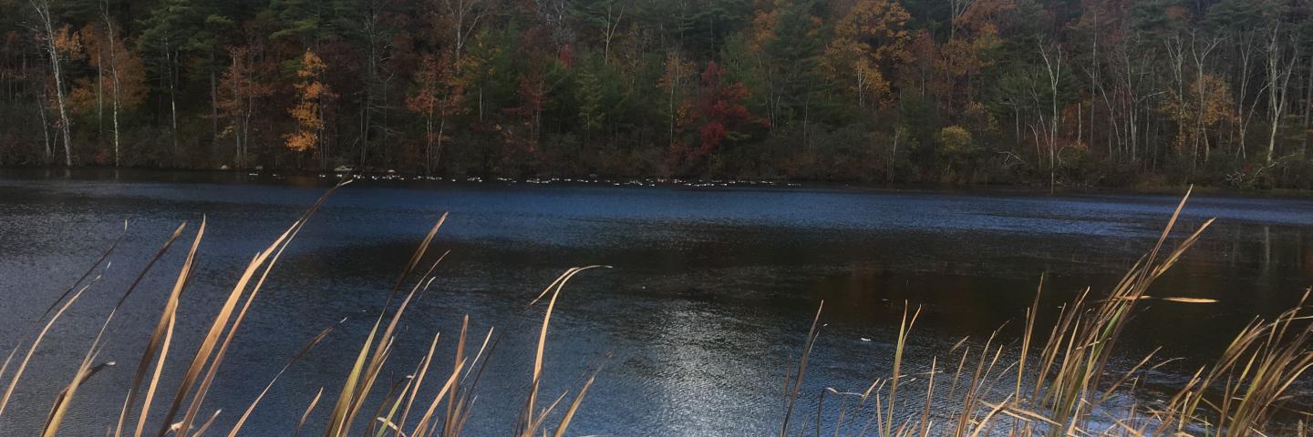 Lake Mansfield Homepage Great Barrington Land Conservancy