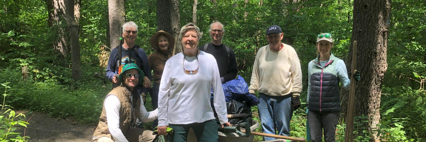 Lake Mansfield volunteers care for the forest.
