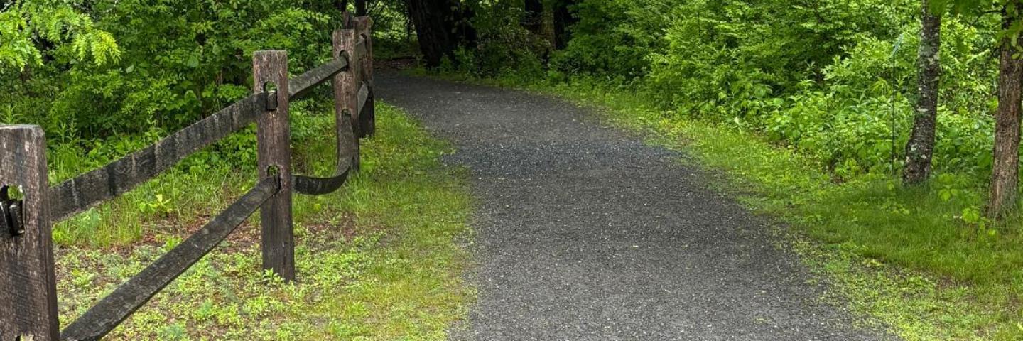 Great Barrington Land Conservancy meditation walks along the Riverfront Trail in July with GBLC member Nelson Wyman. 