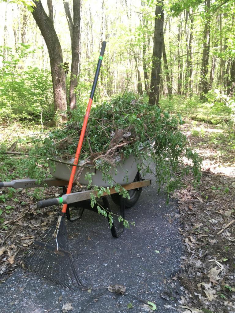 Lake Mansfeild 2019 Clean Up, Great Barrington MA