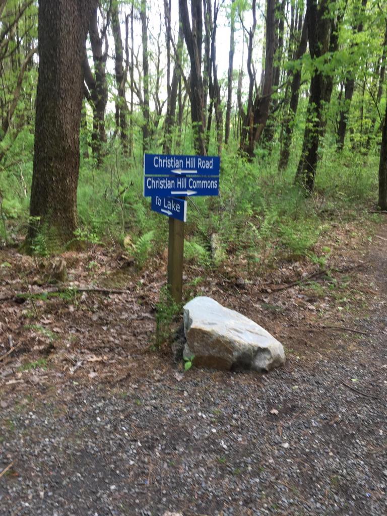 Lake Mansfeild 2019 Clean Up, Great Barrington MA