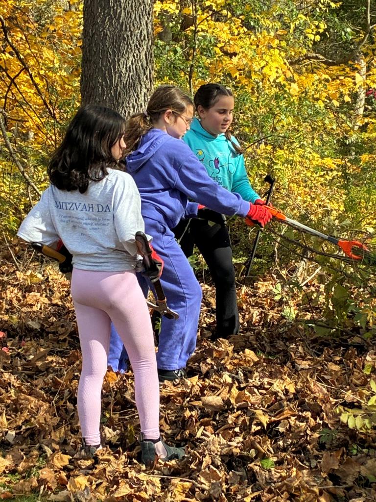 They teamed up with eagerness and ingenuity to grab bittersweet . . .