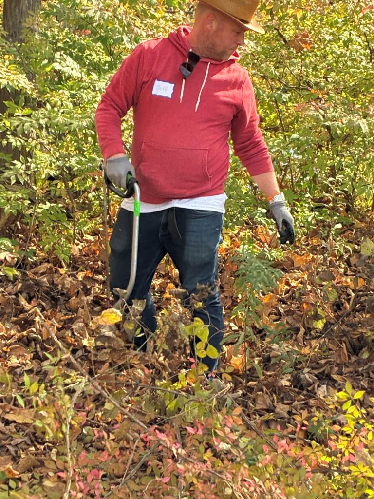 seek out burning bush (winged euonymous).