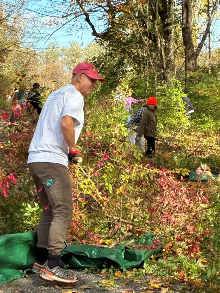 ... gather up vast quantities of the targeted invasive plants.