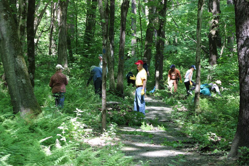 After a quick lesson on identifying poison ivy and nettles, volunteers got right to work to remove invasive plants that crowd out native plants.
