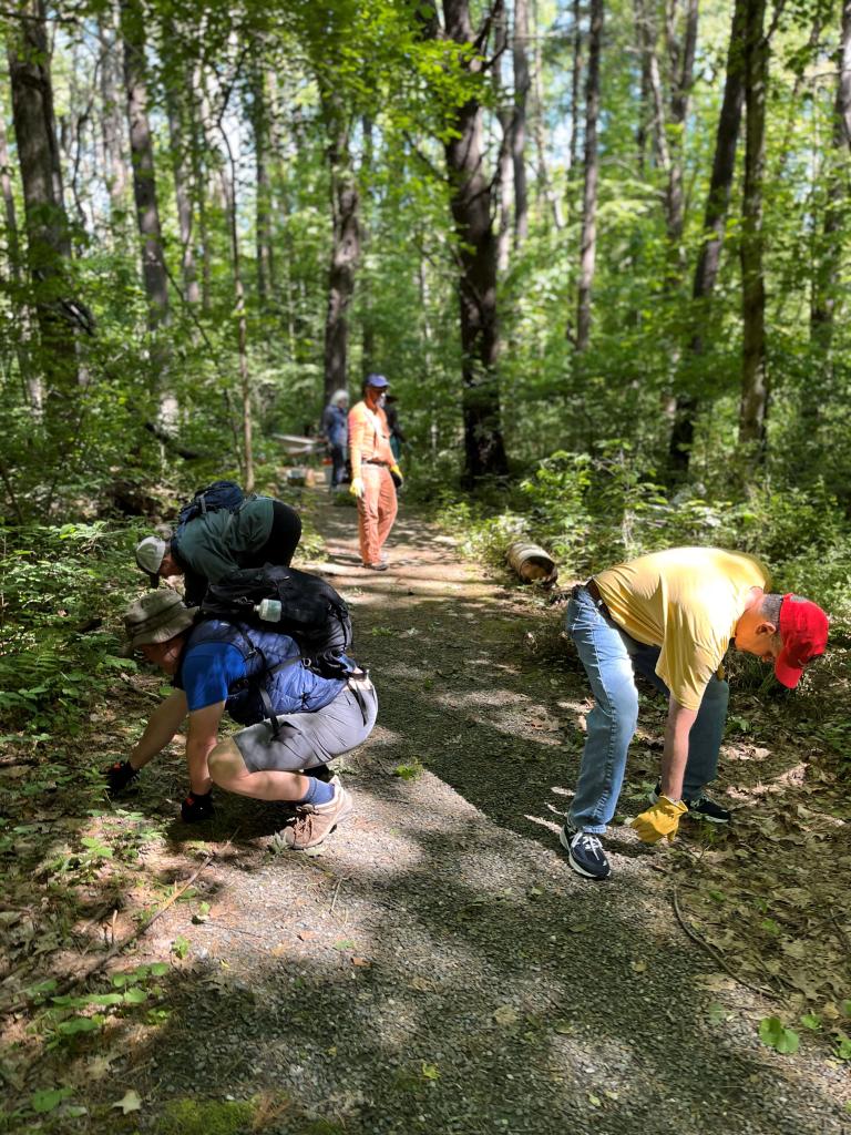 The team scoured trail edges for garlic mustard, narrow-leaved bitter-cress, and burning bush in the ferny glade before the big boulder.