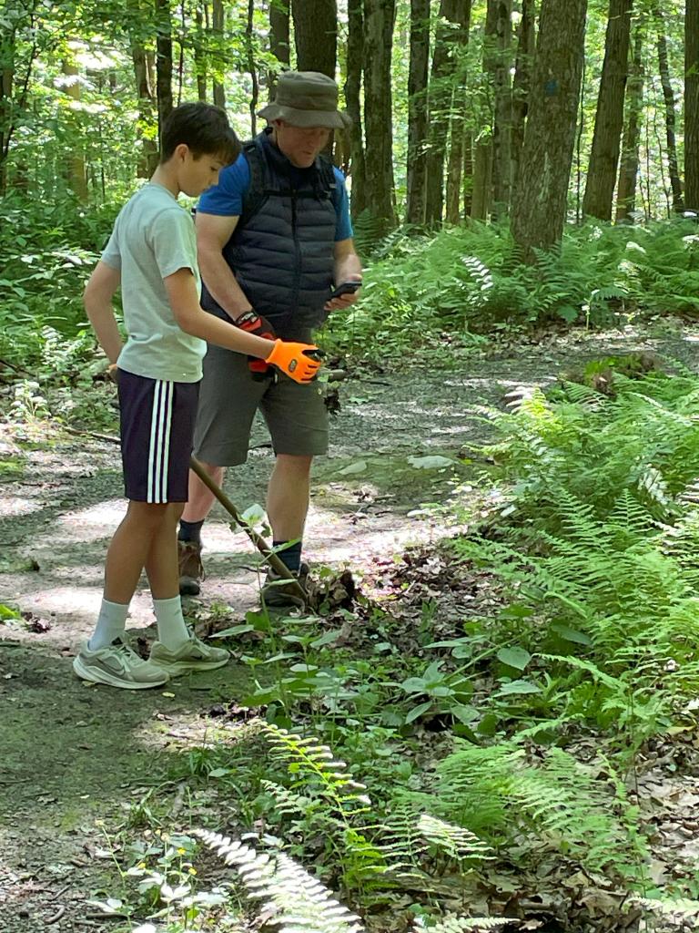Learning how to recognize and identify native plants and invasive plants helps build our skills and confidence.