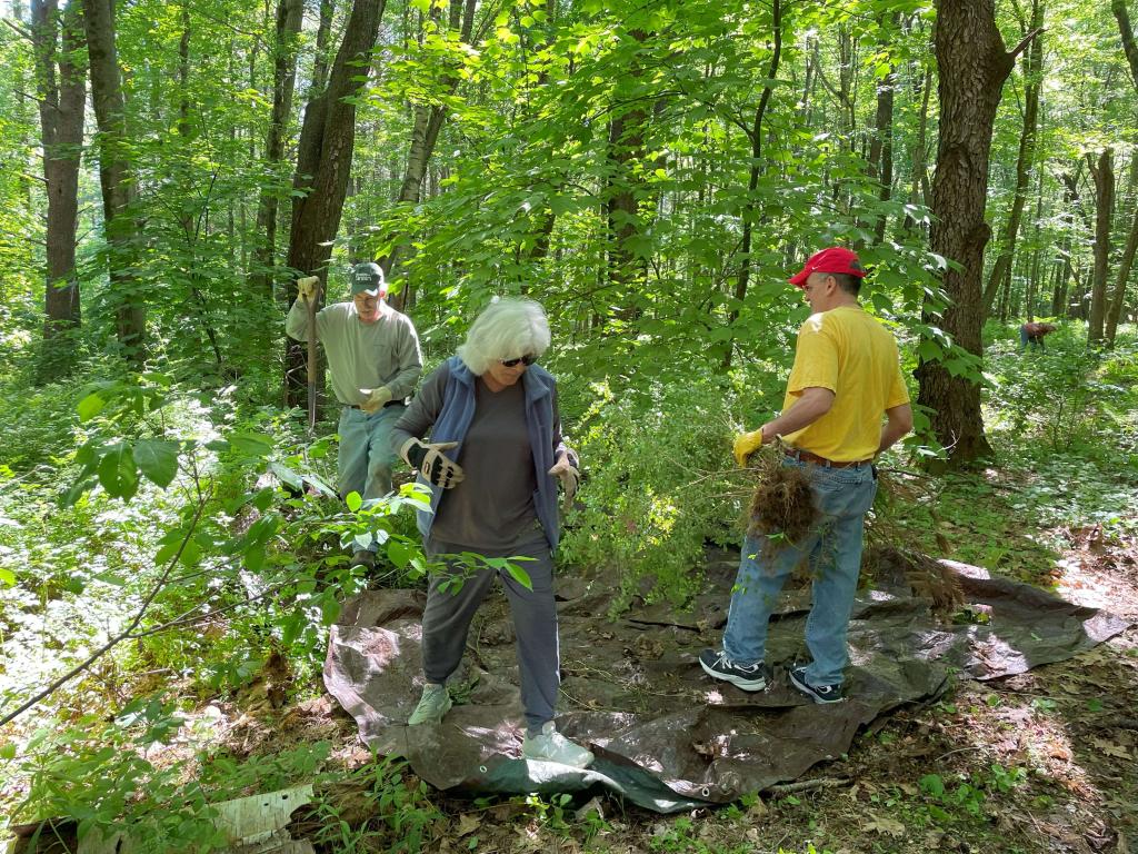 It's amazing how much a volunteer team can accomplish in a short time!