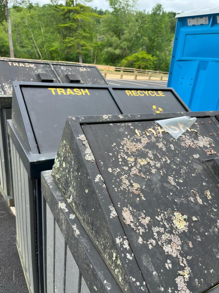 Lichen-covered trash receptacles were quickly attended to