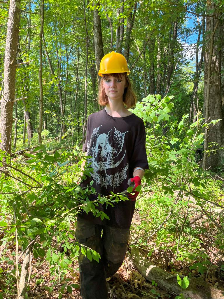 Special attention was paid the the area between the new paring area and forest edge.