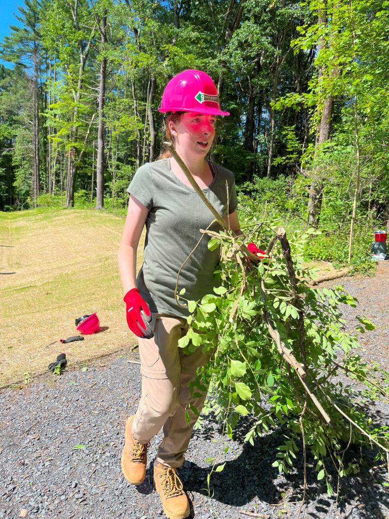 Removed material was dragged out of the rehab area.