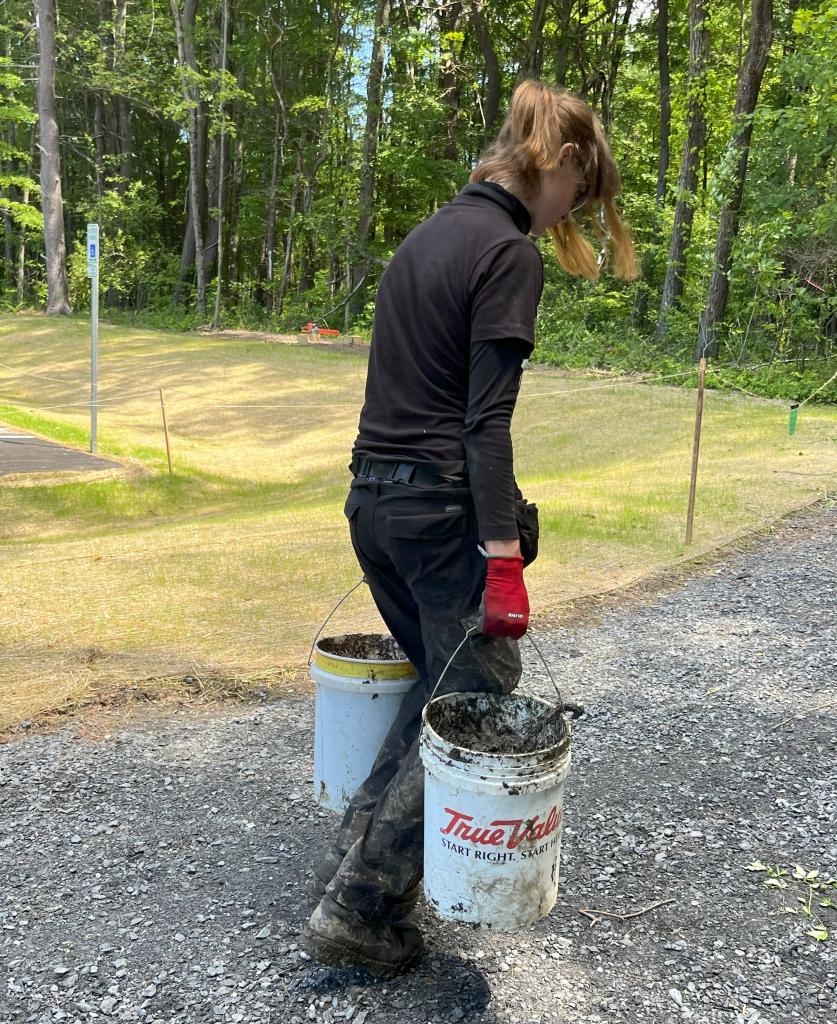 transported to be put to good use at the forest entrance.