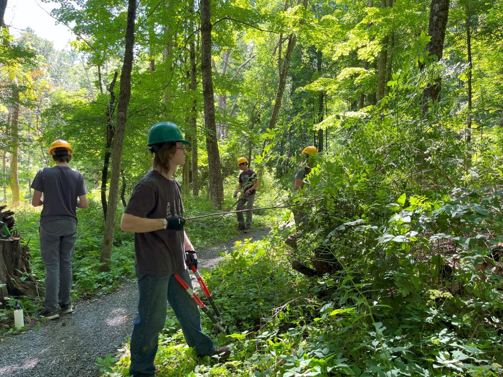 The last part of day 2 was spent removing invasives and planting native plants.
