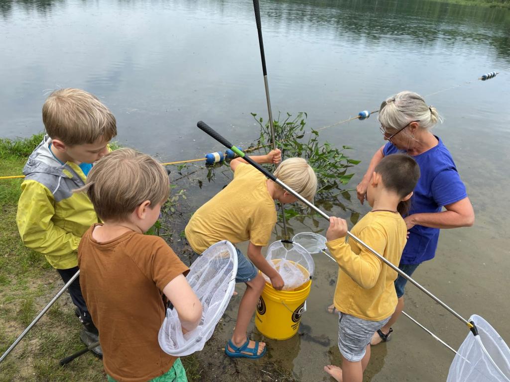 Living things like minnows, snails, and dragonfly larvae were carefully kept in pond water .