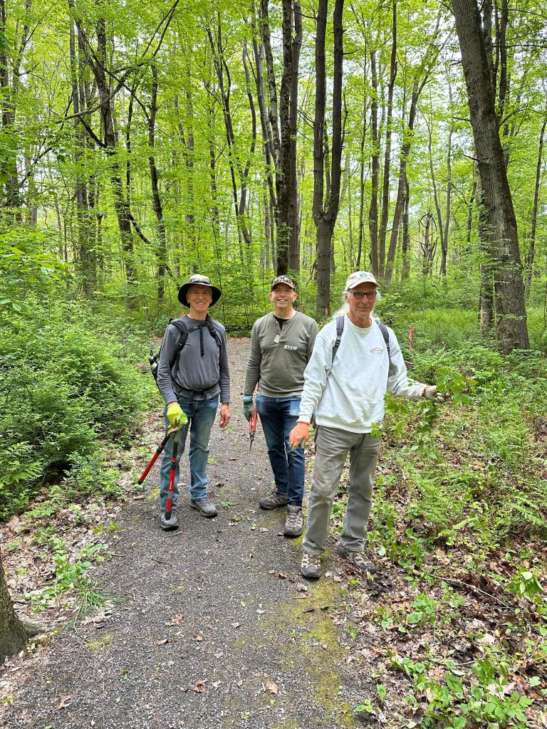 A dedicated group teamed up to remove invasive burning bush.