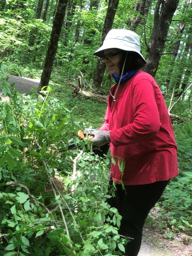 Jane Angelini came well equiped to cut back invasive species.