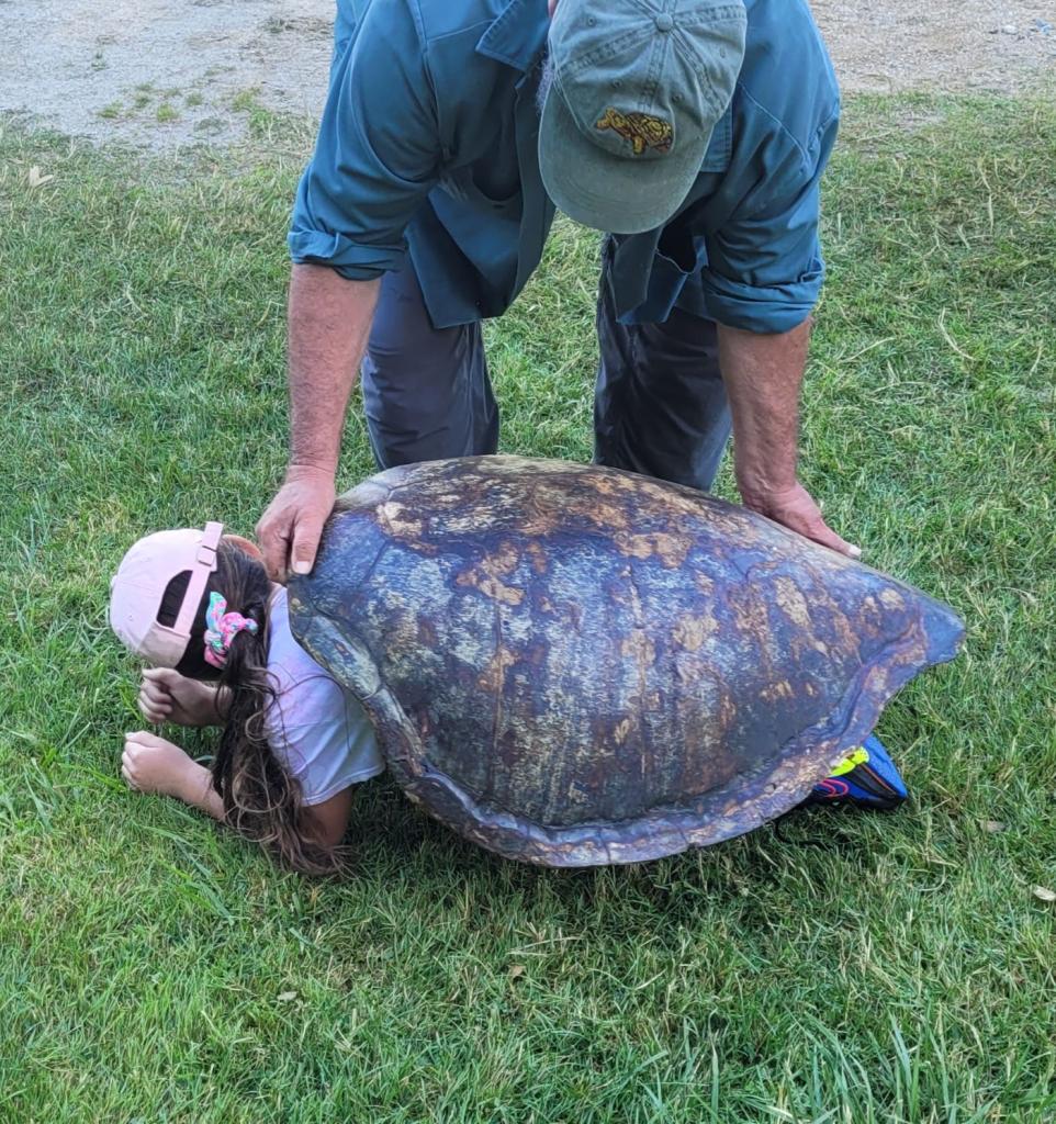 In a snap! A girl becomes a turtle!
