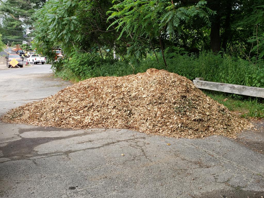 1. A few days before Big Y Volunteers were to arrive, a large pile of mulch was contributed to River Walk by the Sweet Tree Service.