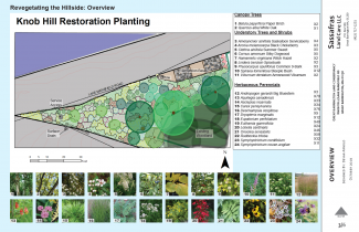 Knob Hill Restoration planting