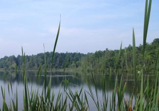 Clean Water Grants are made possible with a strong comprehensive Watershed-Based Plan.