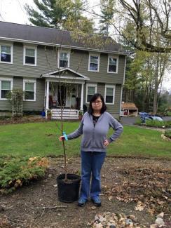 Olivia Conforti, winner of the River Walk Tree ID Challenge, with her new birch tree