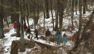 Winter Hike at CHP in Great Barrington for Families and Friends 