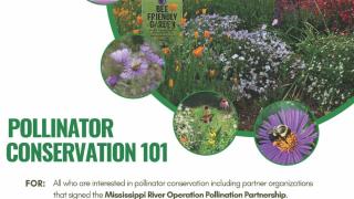 Pollinator 101 webinar